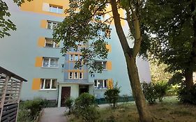 Apartament na Warszawskiej